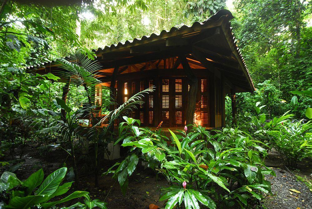Playa Nicuesa Rainforest Eco Sanctuary Golfito Exterior foto